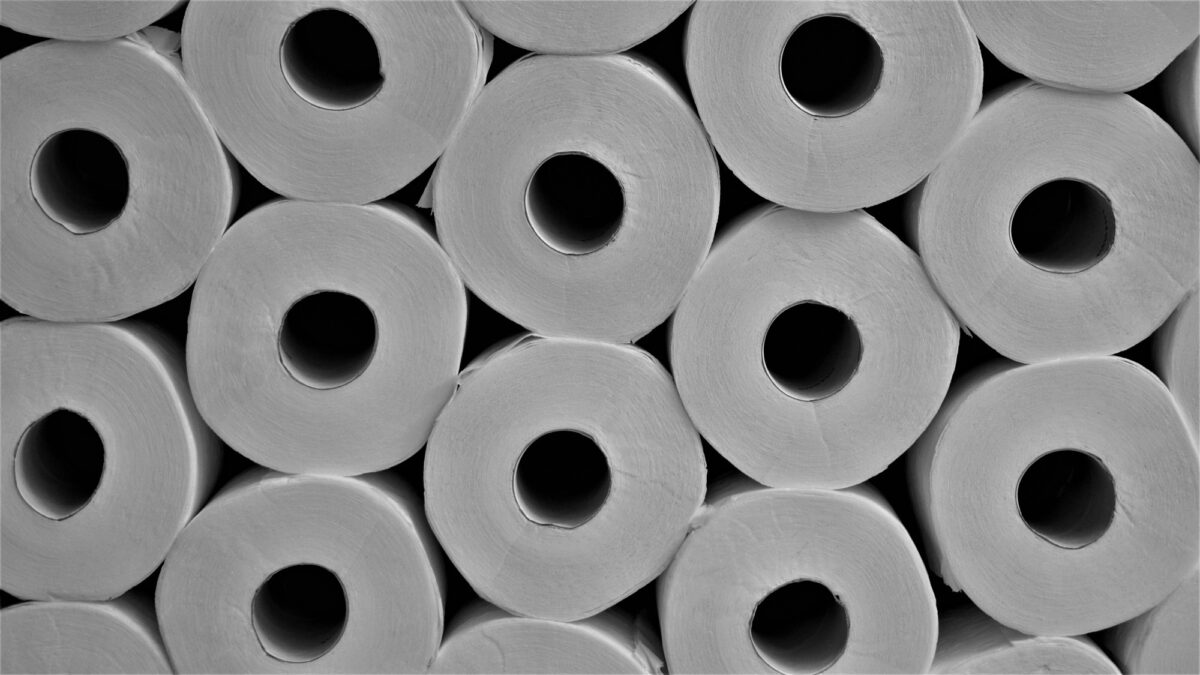 3 Advantages of Renting a Flushable Porta Potty