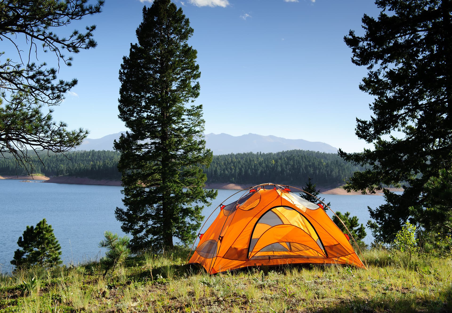 Portable Camping Toilet vs. Porta Potty for Special Events: A Guide